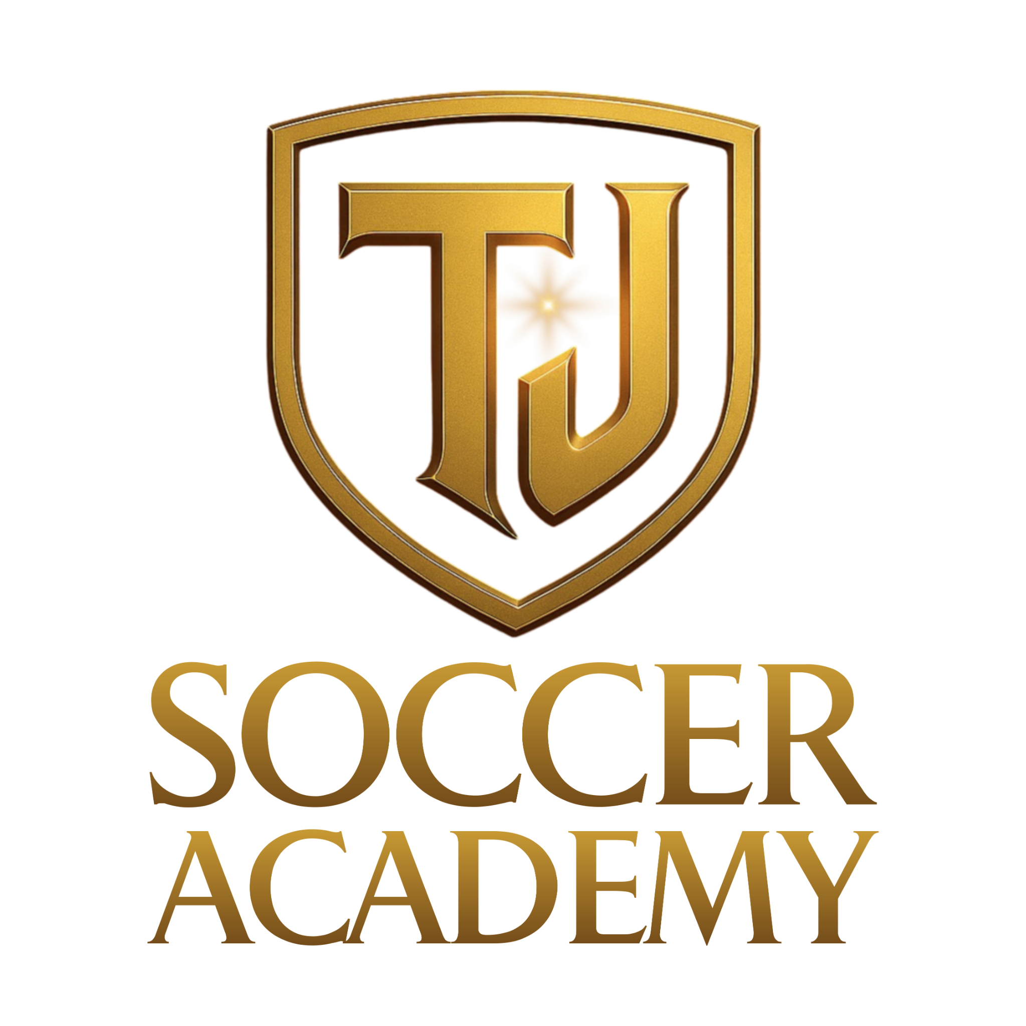 TJ Soccer Academy